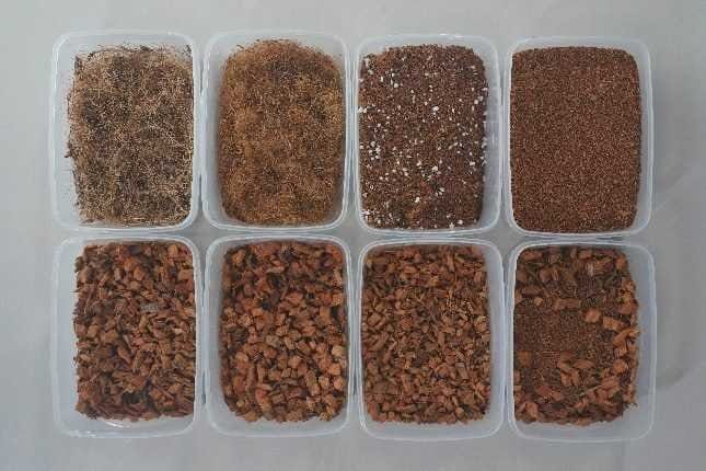 Trays comparing coco pith, husk chips and fibre blends for commercial substrate qualification