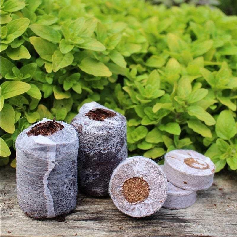 Coco coir substrate quality close up for cannabis growing