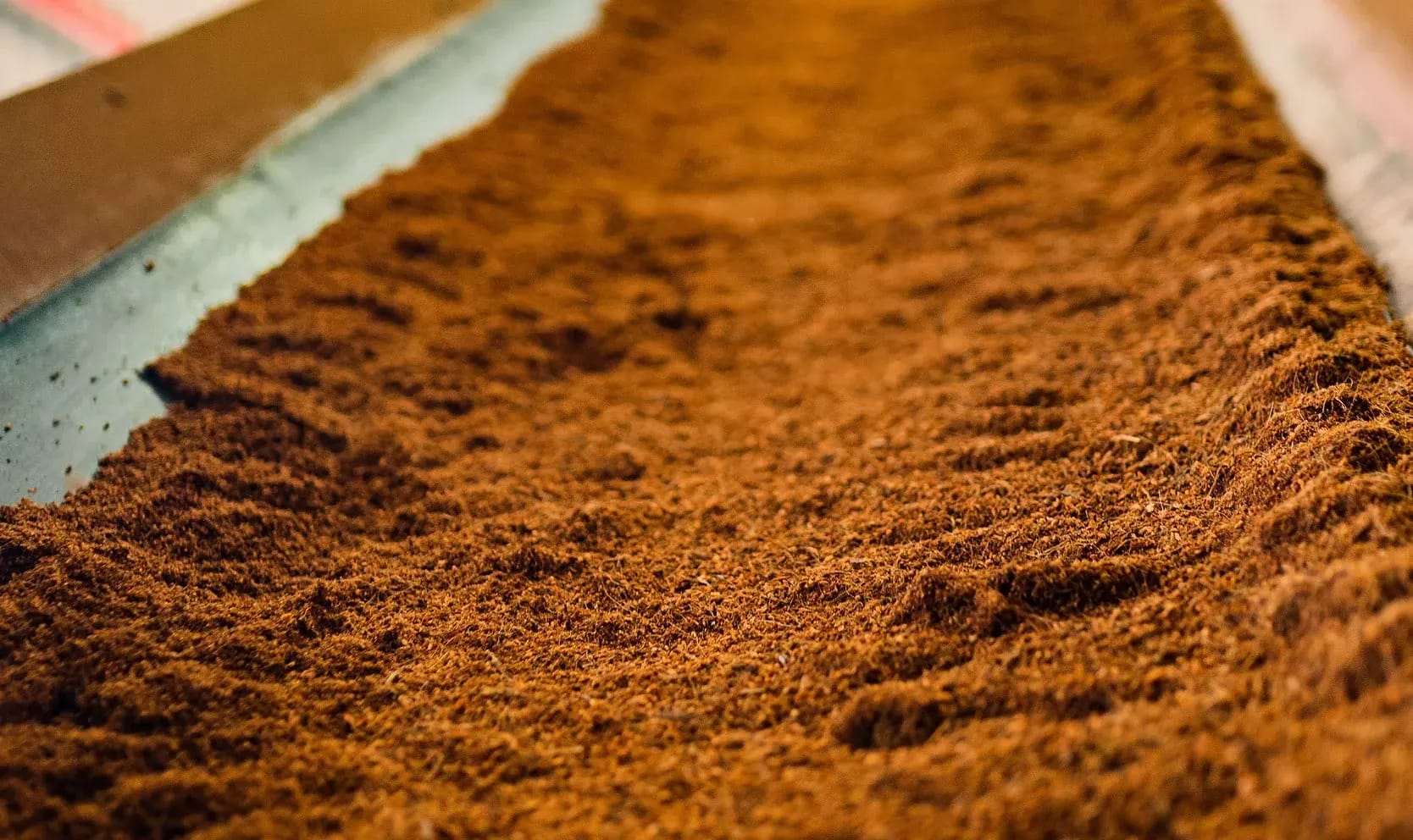 Close-up of raw processed coco coir pith, the fibrous coconut husk material used as a soilless growing medium
