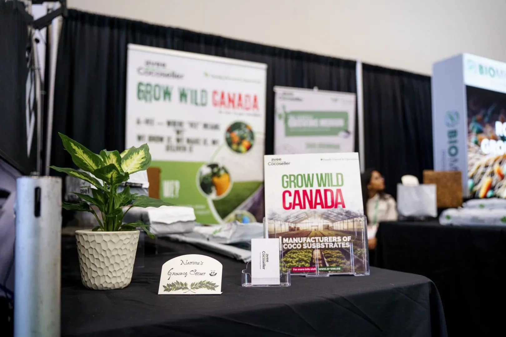 Packaged coco coir products staged for wholesale distribution to Canadian resellers