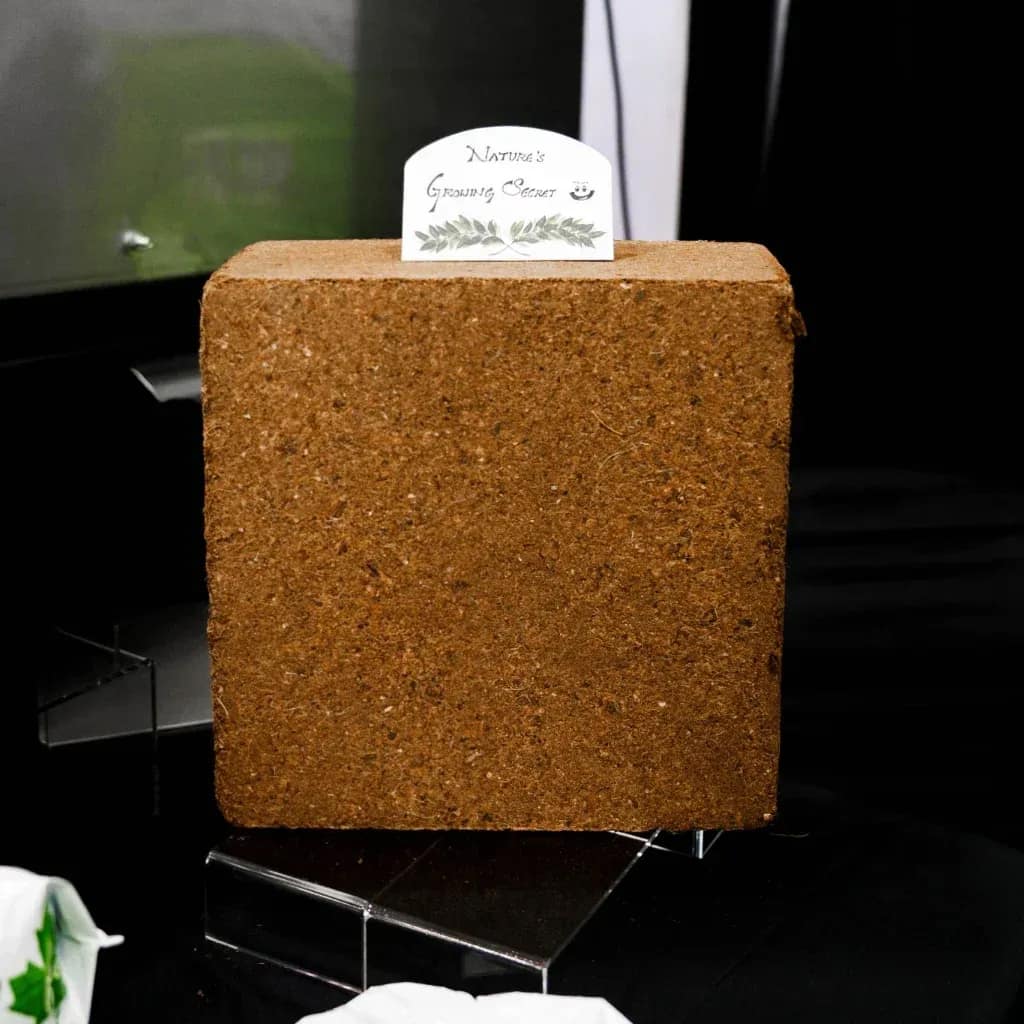 Bloque compacto de fibra de coco Avee Cocoseller