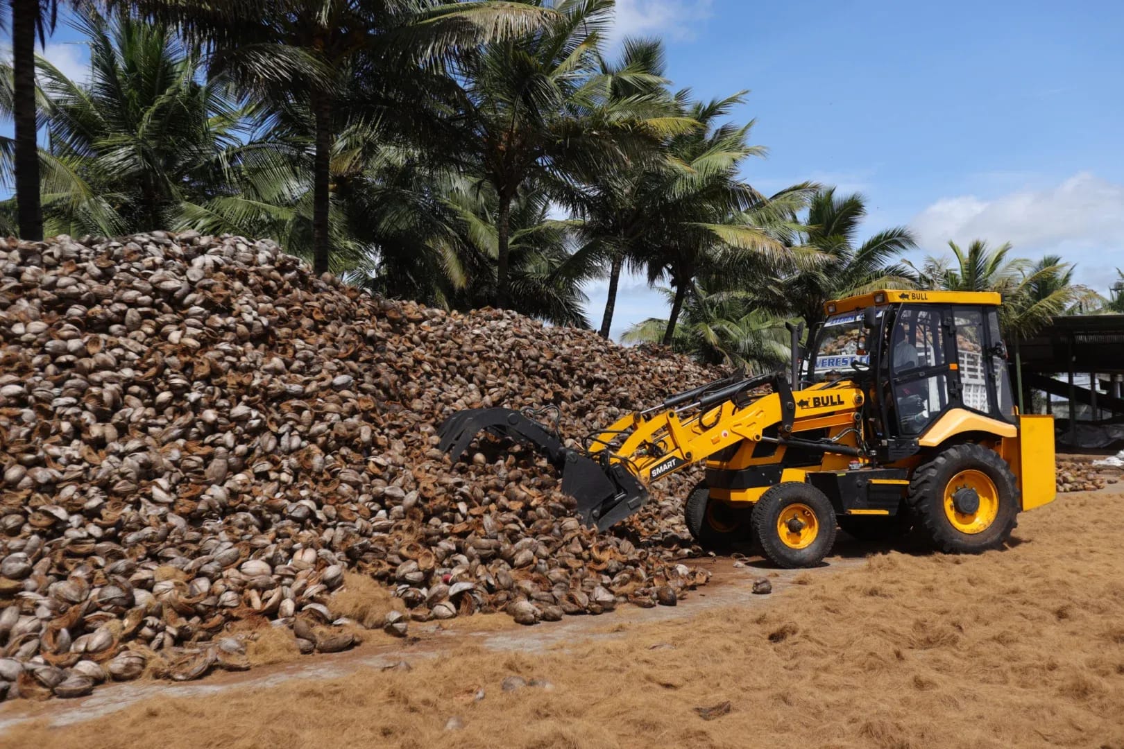 Loader machine handling coconut husks at the Avee Cocoseller coco coir manufacturing facility that ships factory-direct to Denver